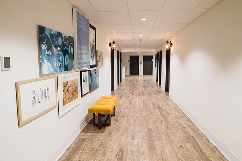 Gallery 6